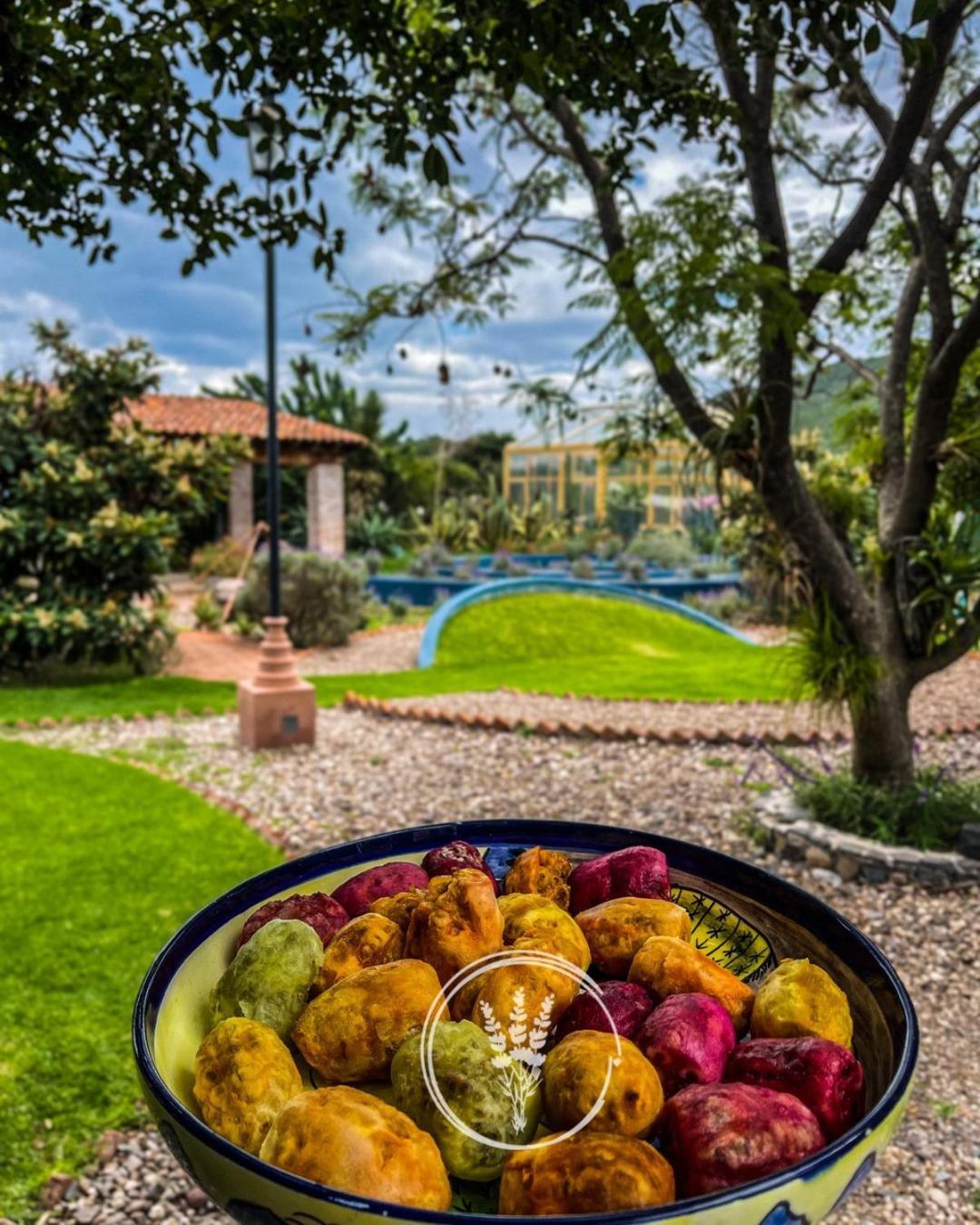 Lavanda Aldea Holistica San Miguel de Allende Zewnętrze zdjęcie